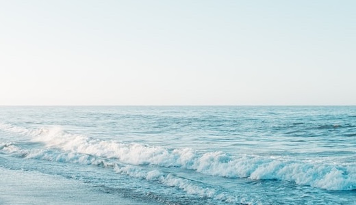 お風呂の排水溝に出る白いカスの正体とは？原因は？対処法はあるの？